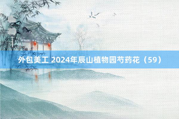 外包美工 2024年辰山植物园芍药花（59）