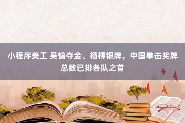 小程序美工 吴愉夺金、杨柳银牌，中国拳击奖牌总数已排各队之首