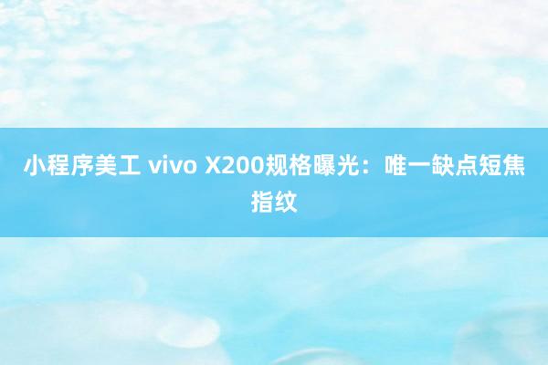 小程序美工 vivo X200规格曝光：唯一缺点短焦指纹