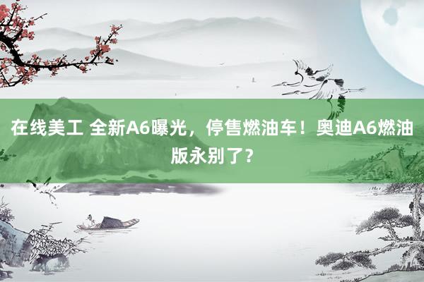 在线美工 全新A6曝光，停售燃油车！奥迪A6燃油版永别了？