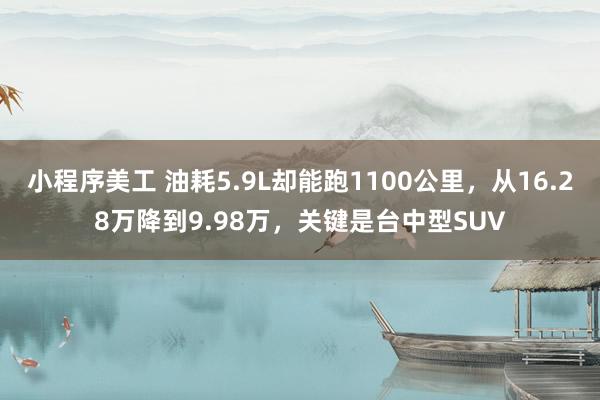 小程序美工 油耗5.9L却能跑1100公里，从16.28万降到9.98万，关键是台中型SUV